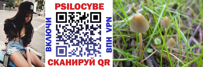 Псилоцибиновые грибы прущие грибы где купить наркоту маркетплейс официальный сайт Омск mega ONION
