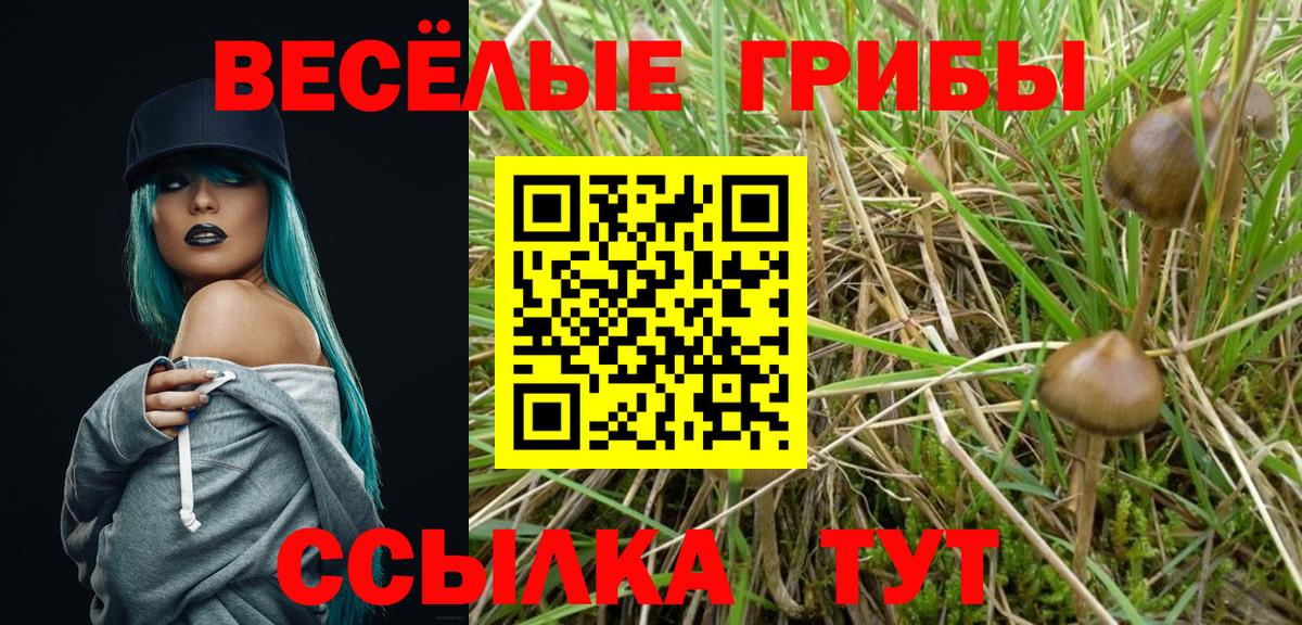 Омск  Галлюциногенные грибы ЛСД  Галлюциногенные грибы мицелий  Вход с VPN 